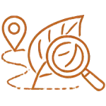 Natract Cosmetic Ingredients - Traceable Raw Materials