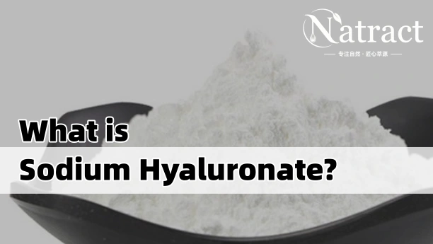 Natract Article - What Is Sodium Hyaluronate