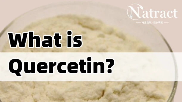 Natract Article - What is Quercetin