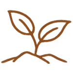 Natract Quercetin Powder - Plant-Derived Ingredient