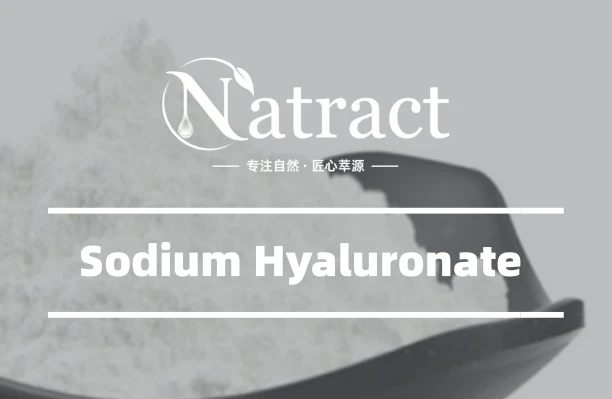 Natract - What Is Sodium Hyaluronate