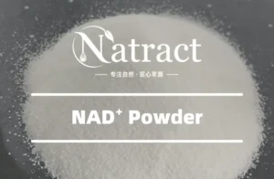 Natract - What is NAD⁺ and How Can It Benefit Your Business