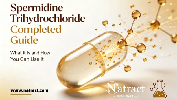 Natract Article - Spermidine Trihydrochloride Completed Guide What It Is and How You Can Use It