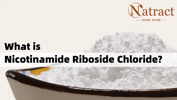 Natract Article - What Is Nicotinamide Riboside Chloride A Complete Guide to NR-Cl Benefits & Uses