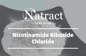 Natract - What Is Nicotinamide Riboside Chloride A Complete Guide to NR-Cl Benefits & Uses
