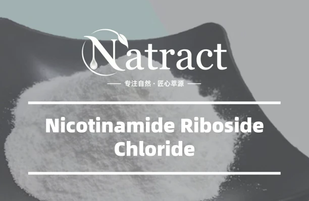 Natract - What Is Nicotinamide Riboside Chloride A Complete Guide to NR-Cl Benefits & Uses